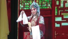 武安平调落子《卖妙郎》MP3/MP4资源下载,刘云凤主演经典戏曲全剧 武安平调落子《卖妙郎》MP3/MP4资源下载,刘云凤主演经典戏曲全剧
