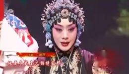 京剧《二进宫》于魁智李胜素孟广禄演唱，戏曲视频mp4/mp3资源下载下载