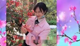 萍乡采茶戏《吴燕花》选段下载 - 赵一青演