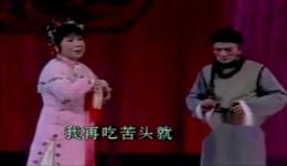 沪剧《陆雅臣·求娘子》杨飞飞赵春芳演唱，经典戏曲片段mp3/mp4下载下载