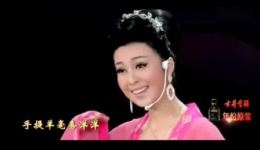 女驸马杉木水桶龙女牛郎织女
