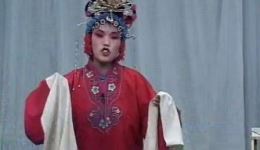 琴书《九死还阳传》全集下载张银侠刘汉飞王道兰演唱，老唱片与新版资源全收录下载