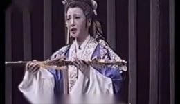 吴汉杀妻