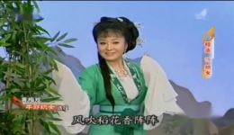 黄梅戏《果然喜从天上降》沐歌刘跃进合唱片段mp3/mp4下载下载