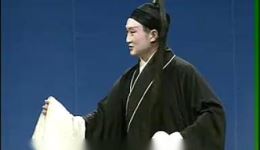 庐剧《姐妹嫁一夫》（下）胡俊主演mp3/mp4资源下载，经典伦理大戏全集收录下载