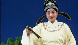 追婚记