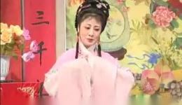 庐剧《郑小娇》全集下载，朱德顺、孙小云等主演，MP3/MP4格式应有尽有！下载