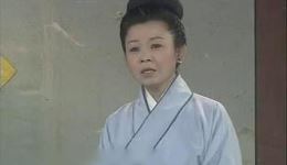 真假驸马