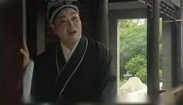真假驸马