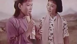 游乡