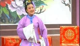 双婚记