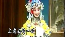 打金枝