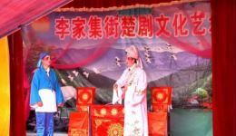 大访友