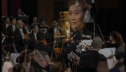 苏剧《太平调》2006王芳戏曲交响音乐会mp3/mp4资源下载 苏剧《太平调》2006王芳戏曲交响音乐会mp3/mp4资源下载