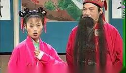 庐剧《女驸马》舞台版全集下载，吴南野等主演，mp3/mp4资源一键获取下载