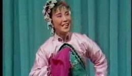 邵阳花鼓戏《打鸟》选段下载，附曲谱，mp3/mp4资源一键获取！下载
