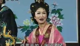 庐剧《逆子杀母04》谢同春主演高清mp3/mp4下载，经典伦理戏曲资源下载