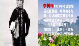 诸城茂腔《白蛇传》游湖选段下载，李树梅赵晓玲演唱MP3/MP4资源下载