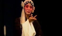 赵美容观灯