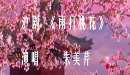 雨打桃花