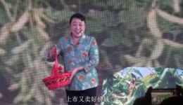 柳琴戏《网红老汉》mp3/mp4资源下载，高清全剧戏曲视频音频素材