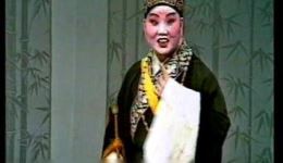 月墙记