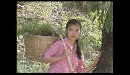 河南豫剧现代折子戏《夫妻无情少欢爱》孟祥礼李素萍主演mp3/mp4高清下载
