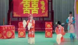 棒打无情郎