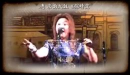 探晴雯