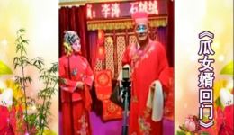 瓜女婿回门
