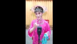 借冠子