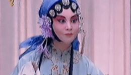 评剧《孔雀东南飞-自幼儿遵母训》张砺沄精彩演绎，爱派经典传承在线观看