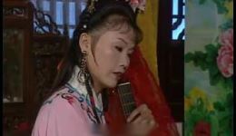 庐剧《九死一生还魂记》魏晓波主演mp3/mp4戏曲下载 - 经典庐剧资源下载