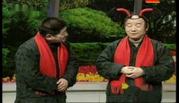 实话实说