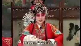 武安平调《奇男传》在线观看下载，野成英等主演经典戏曲资源