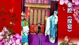 秦腔《探窑》贾菊花张景维主演 经典戏曲mp3/mp4下载下载
