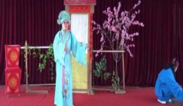 评剧《人面桃花》全场高清下载，mp3/mp4格式戏曲资源，评剧经典剧目在线获取