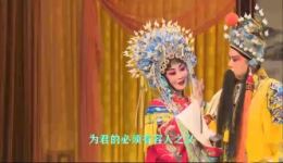 河北梆子《打金枝》唐君蕊徐廑演唱，mp3/mp4戏曲资源下载，经典剧情完整呈现