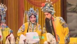 河北梆子《打金枝》选段下载-金玉芳演唱MP3/MP4资源