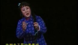 经典评剧《杨三姐告状》全本下载，下谷文月、李金铭、刘淑萍主演，评剧资源MP3/MP4免费获取下载