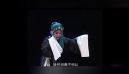 祁剧《秦香莲·小进宫》高清mp3/mp4下载 黄娟刘登雄经典演绎下载