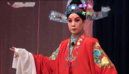 深泽坠子《白罗衫》全本戏曲下载 崔彦生张晓红主演高清资源MP3/MP4 深泽坠子《白罗衫》全本戏曲下载 崔彦生张晓红主演高清资源MP3/MP4