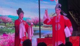 宁都采茶戏《罗帕宝斟酒》mp3/mp4下载，黄芬熊四宝主演，夫妻情深经典戏曲资源