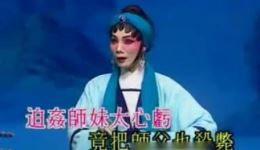 粤剧《西河会妻》MP3/MP4下载 黄伟坤苏春梅主演 经典戏曲资源下载