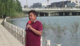大平调经典《收姜维》韩双青演唱MP3/MP4下载 三国题材戏曲资源 大平调经典《收姜维》韩双青演唱MP3/MP4下载 三国题材戏曲资源