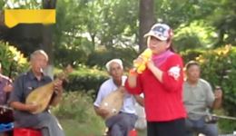 泗州戏《秦香莲进京》MP3/MP4下载，经典戏曲资源免费获取