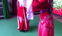 宁都采茶戏《寿诞记游园》王帅陈秋萍主演，MP4/MP3戏曲视频音频资源下载下载