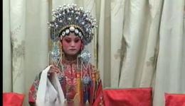 顶本章
