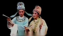 越剧经典《桃李梅》全集下载，张咏梅方亚芬领衔主演，高清戏曲资源速取下载