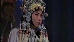 百花记刺目